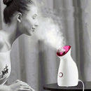 NanoMist Pro™ — Vaporizador Facial Portátil